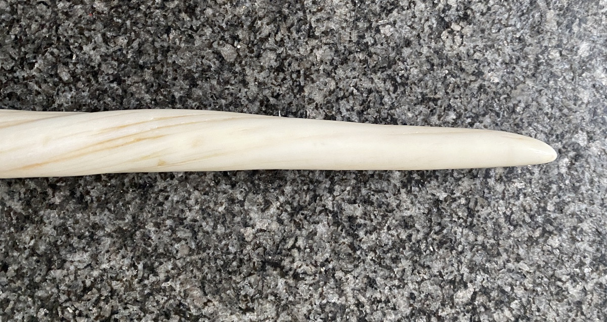 Narwhal Tooth-photo-8