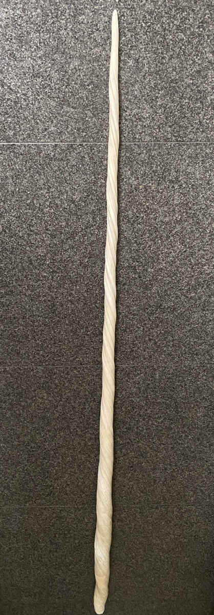 Narwhal Tooth