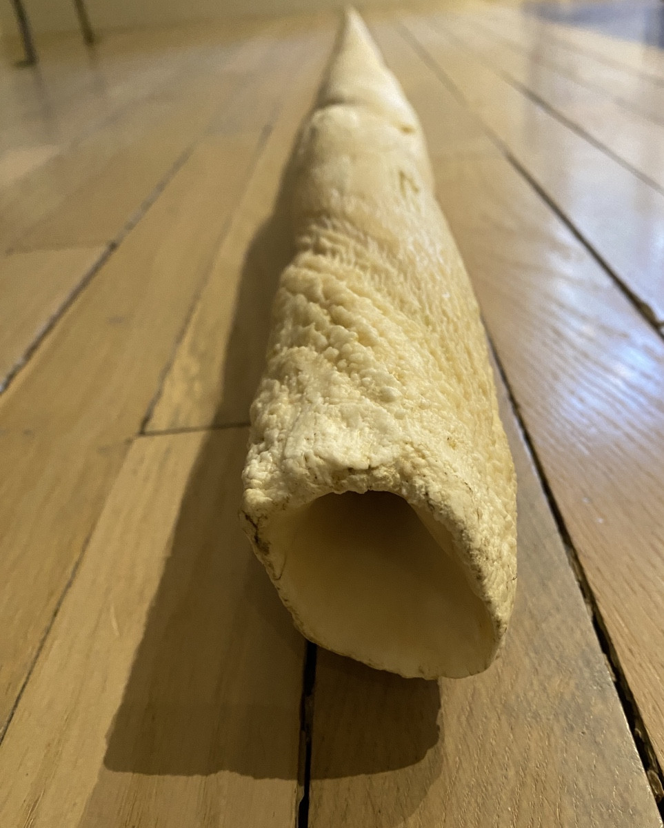 Dent du Narval-photo-2