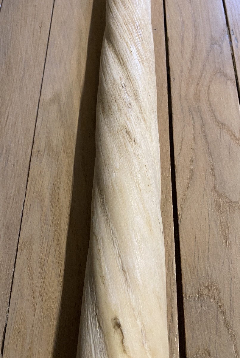 Dent du Narval-photo-4