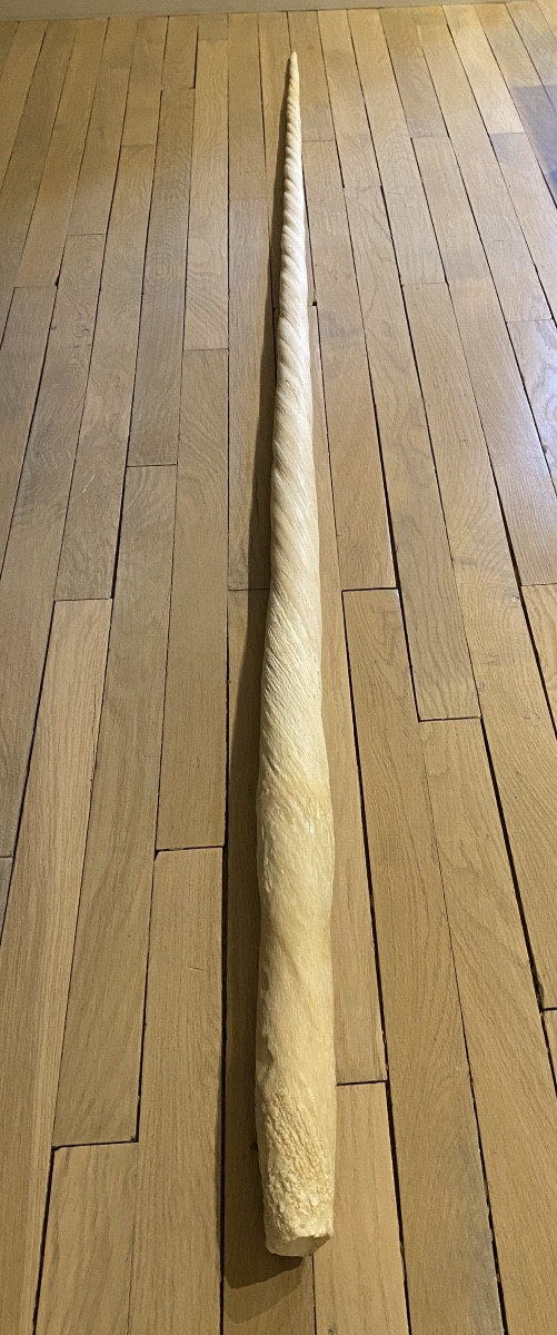 Dent du Narval-photo-5