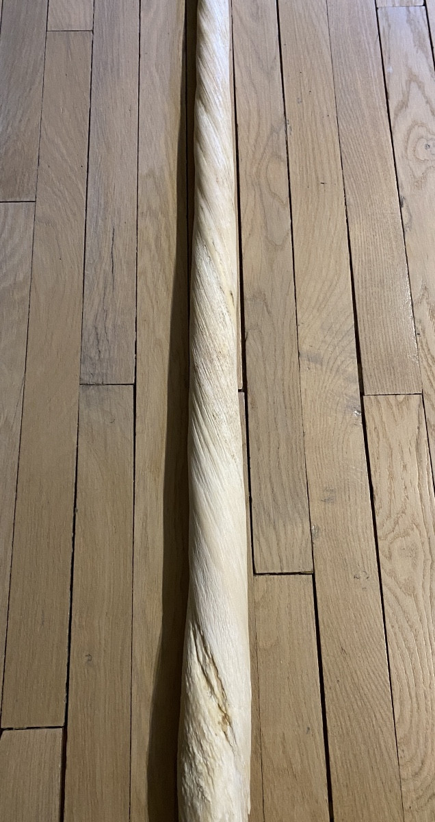 Dent du Narval-photo-8