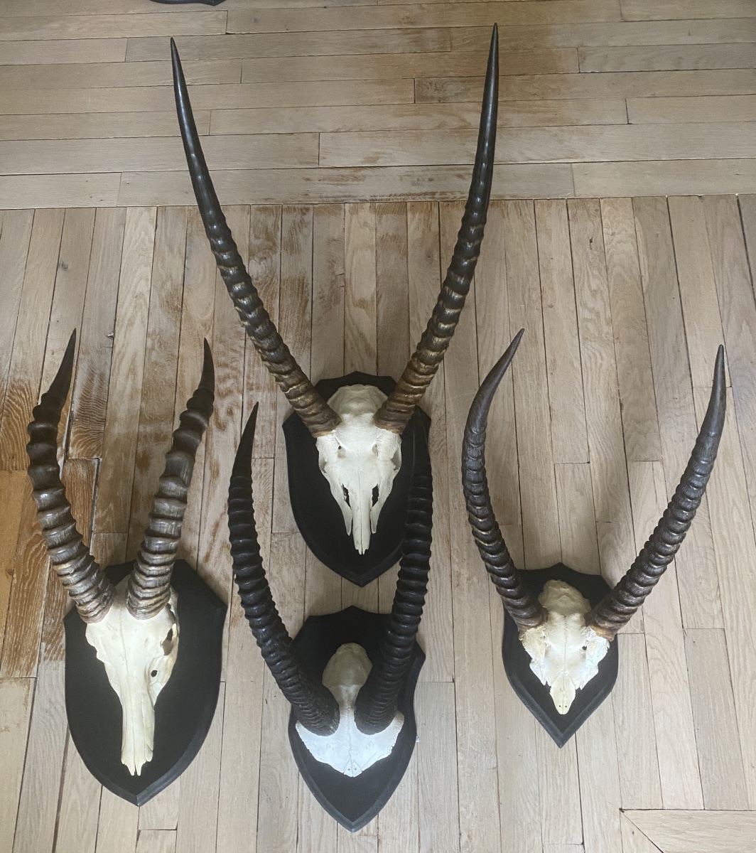 Massacres de Damalisque et de Cobe Delfassa, beaux trophées.