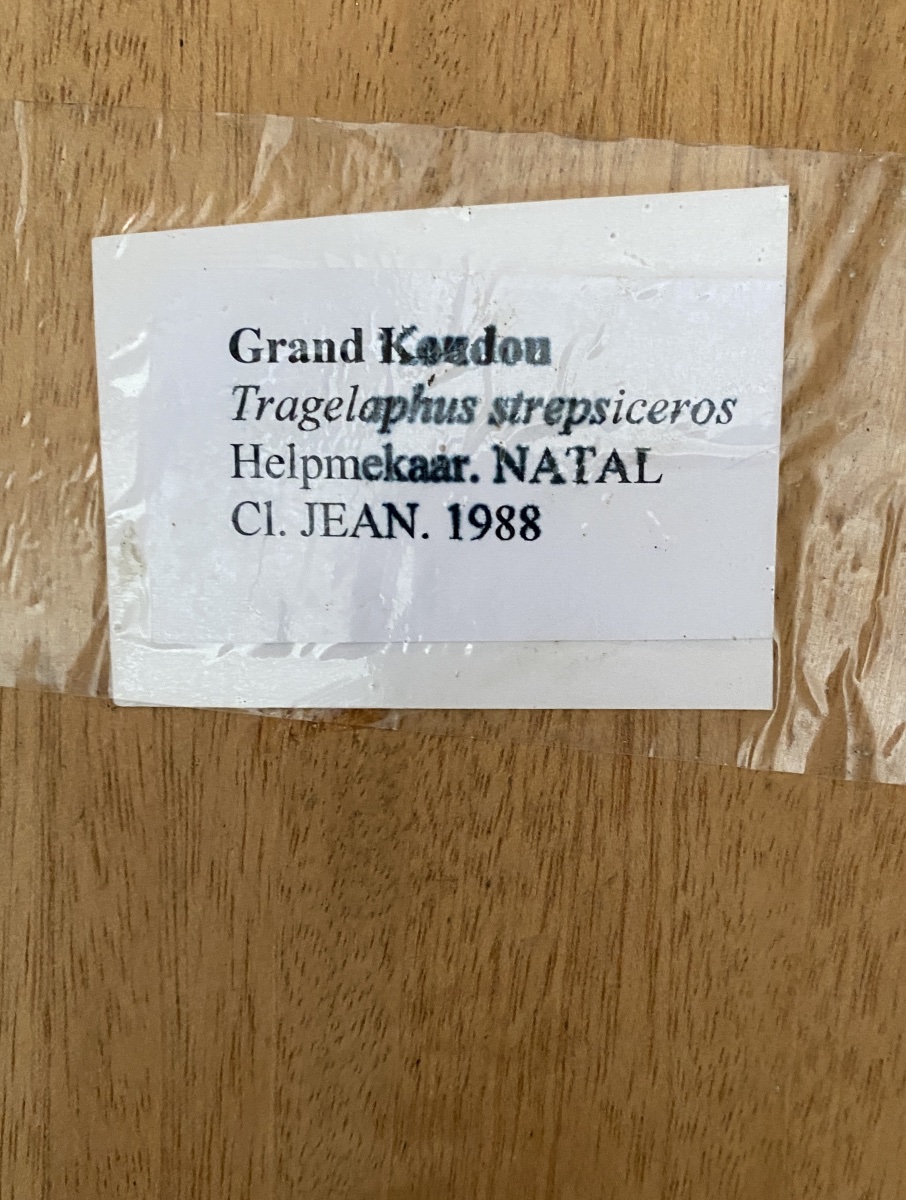 Massacres de "Grand Koudou3" et autres.-photo-4