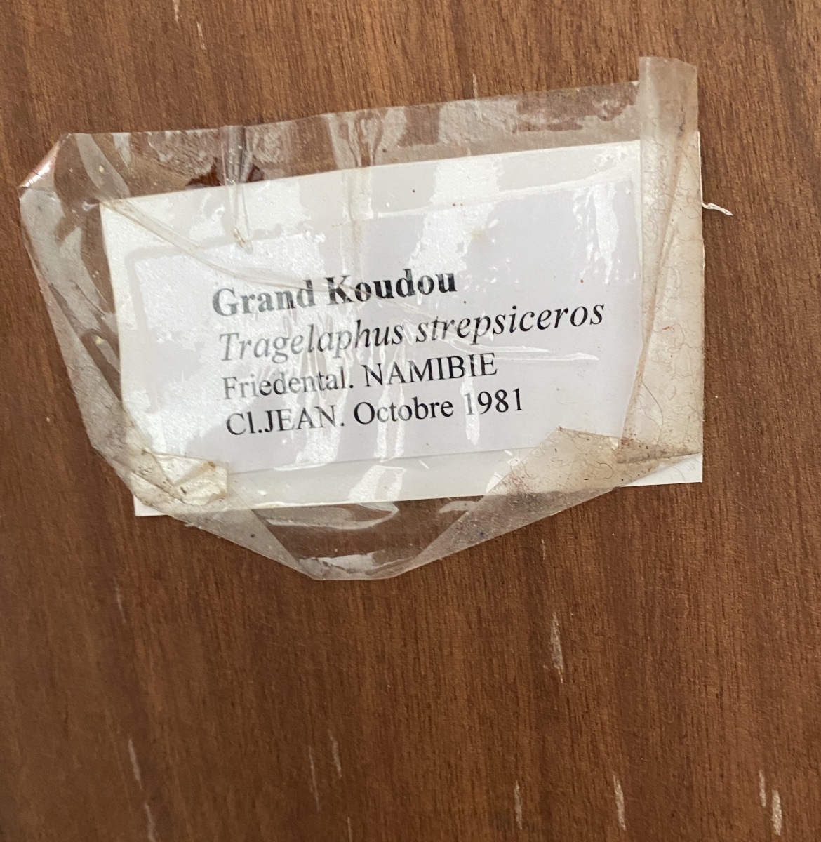 Massacres de "Grand Koudou3" et autres.-photo-2