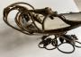1777369-alb-6a2c33af1396c.jpg