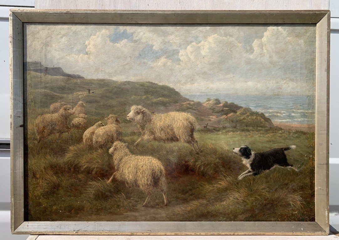 Charles H. Branscombe (britannique, 1858 - 1924) - Moutons Au Pâturage Et Chien Border Collie.-photo-2