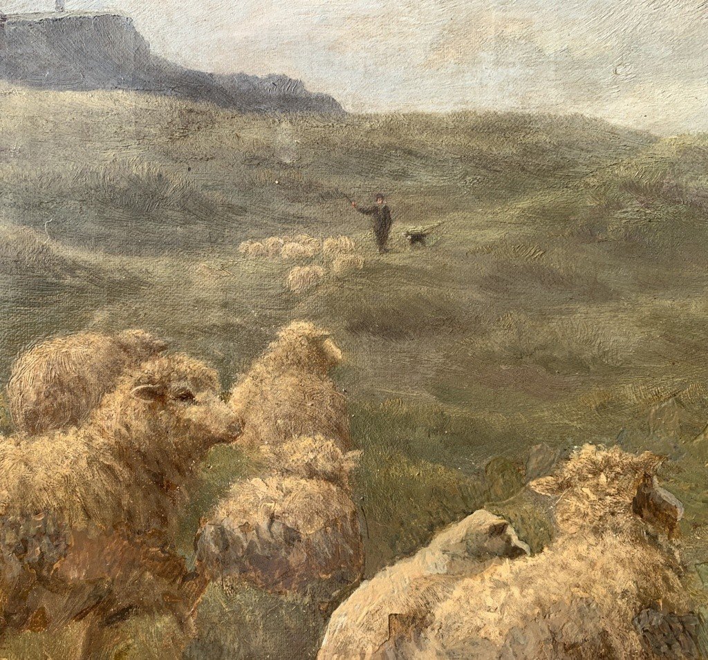 Charles H. Branscombe (british, 1858 - 1924) - Grazing Sheep And Border Collie Dog.-photo-3