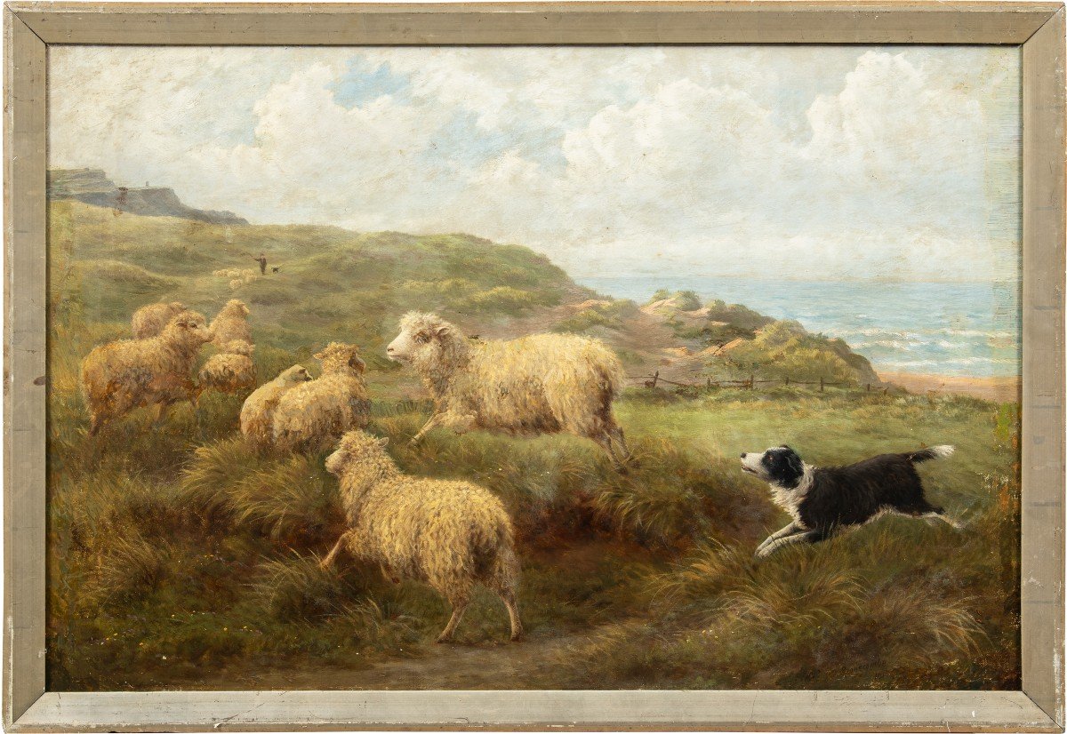 Charles H. Branscombe (british, 1858 - 1924) - Grazing Sheep And Border Collie Dog.