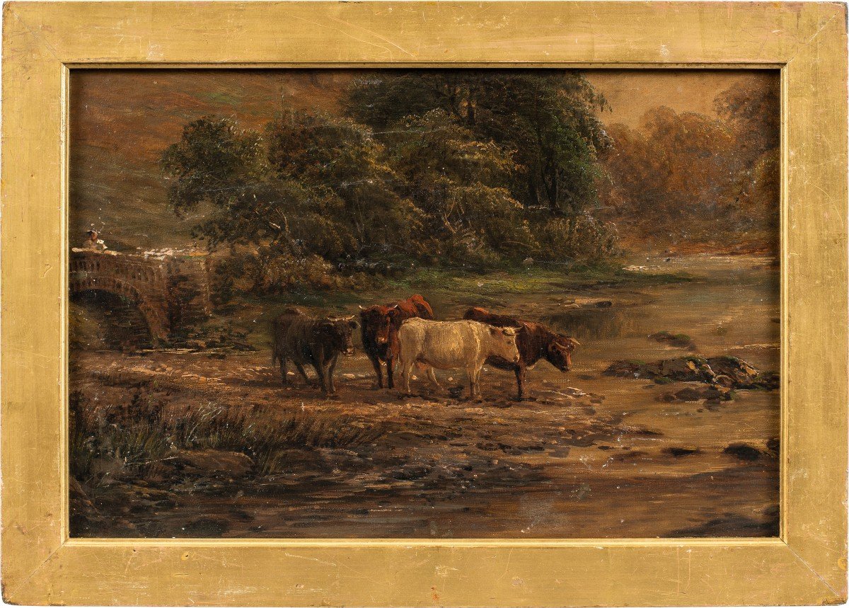 Peintre Anglais (19ème Siècle) - Taureaux Au Ruisseau.
