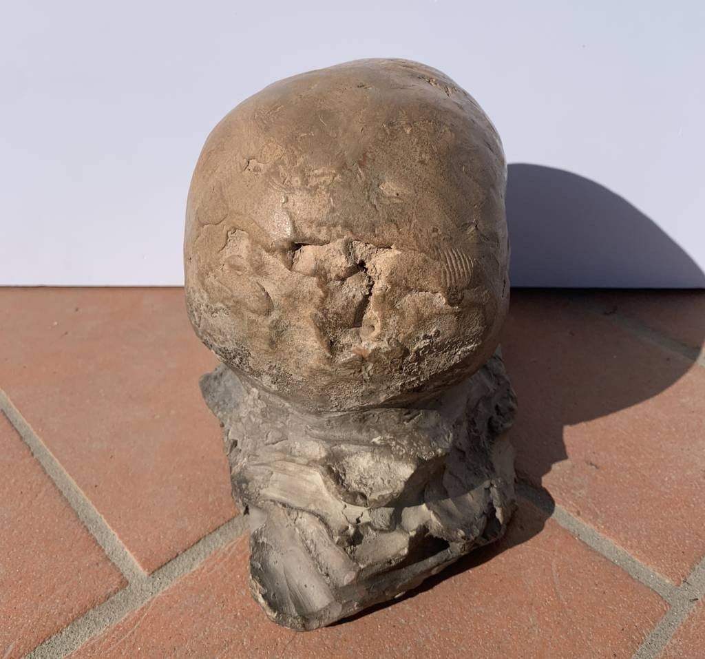Sculpture En Terre Cuite - Memento Mori. Italie, XVIIIe-xixe Siècle.-photo-1