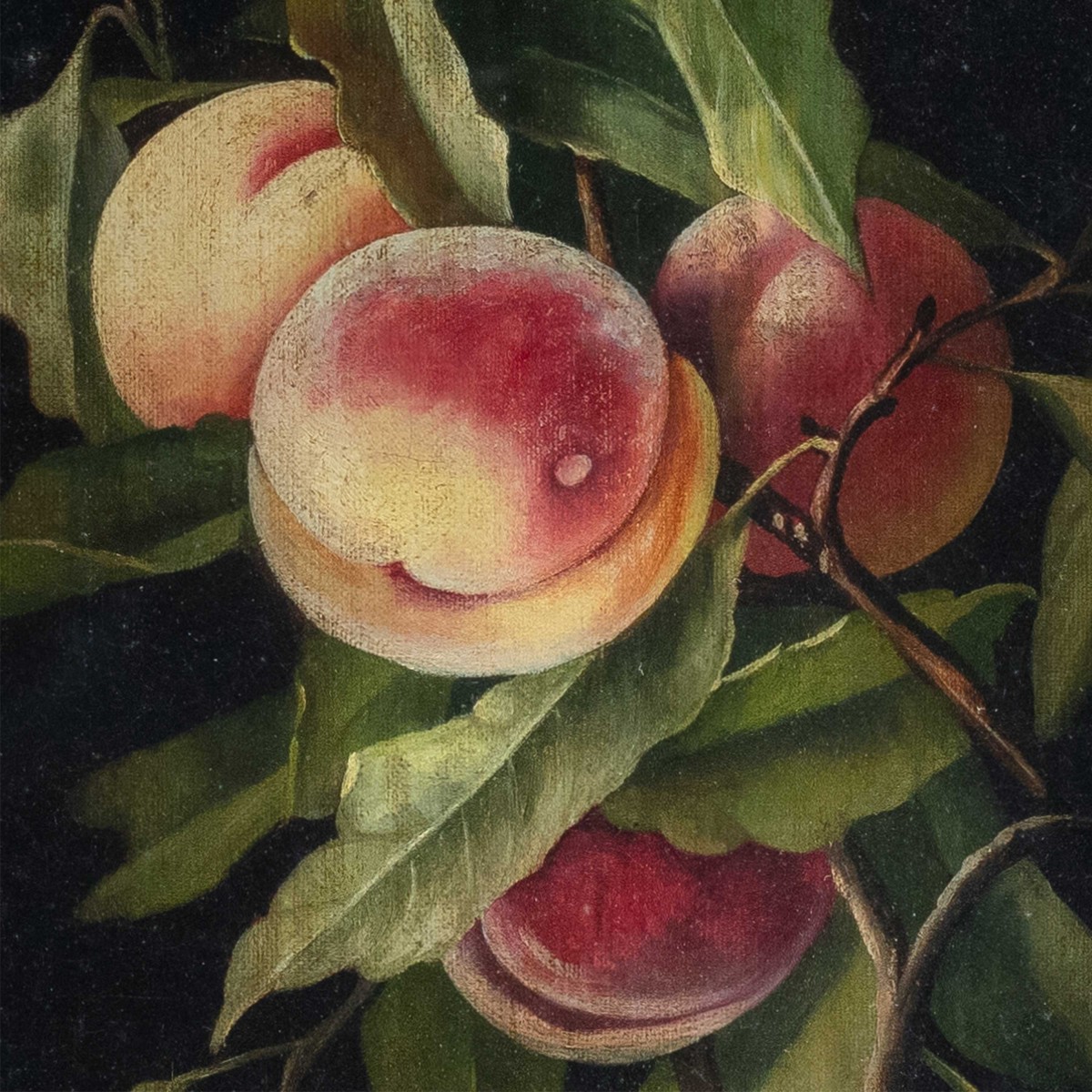 Charles Thomas Bale (britannique, 1845 - 1925) - Nature Morte Aux Pêches.-photo-3