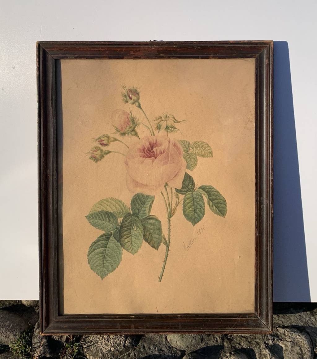 Créateur européen (daté de 1828) - La Rose.-photo-4