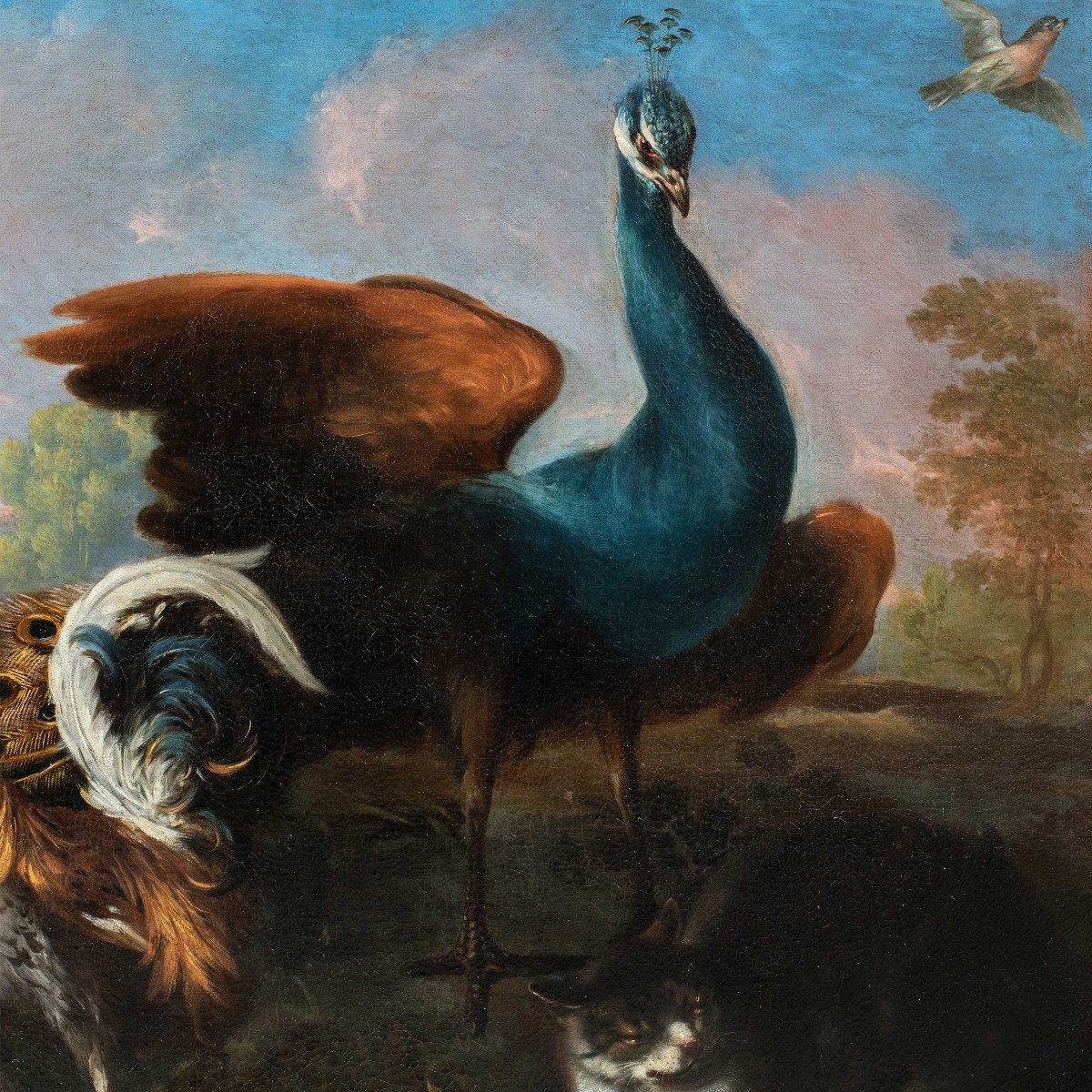 Flemish Master (17th Century) - Still Life With Peacock, Roosters, And A Cat.-photo-2