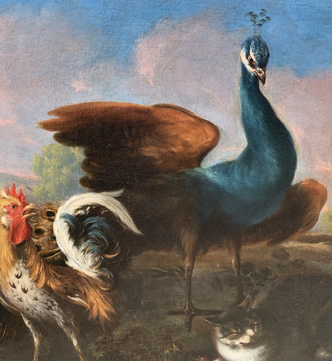 Flemish Master (17th Century) - Still Life With Peacock, Roosters, And A Cat.-photo-3