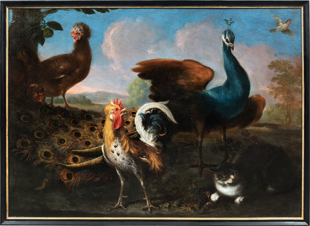Flemish Master (17th Century) - Still Life With Peacock, Roosters, And A Cat.