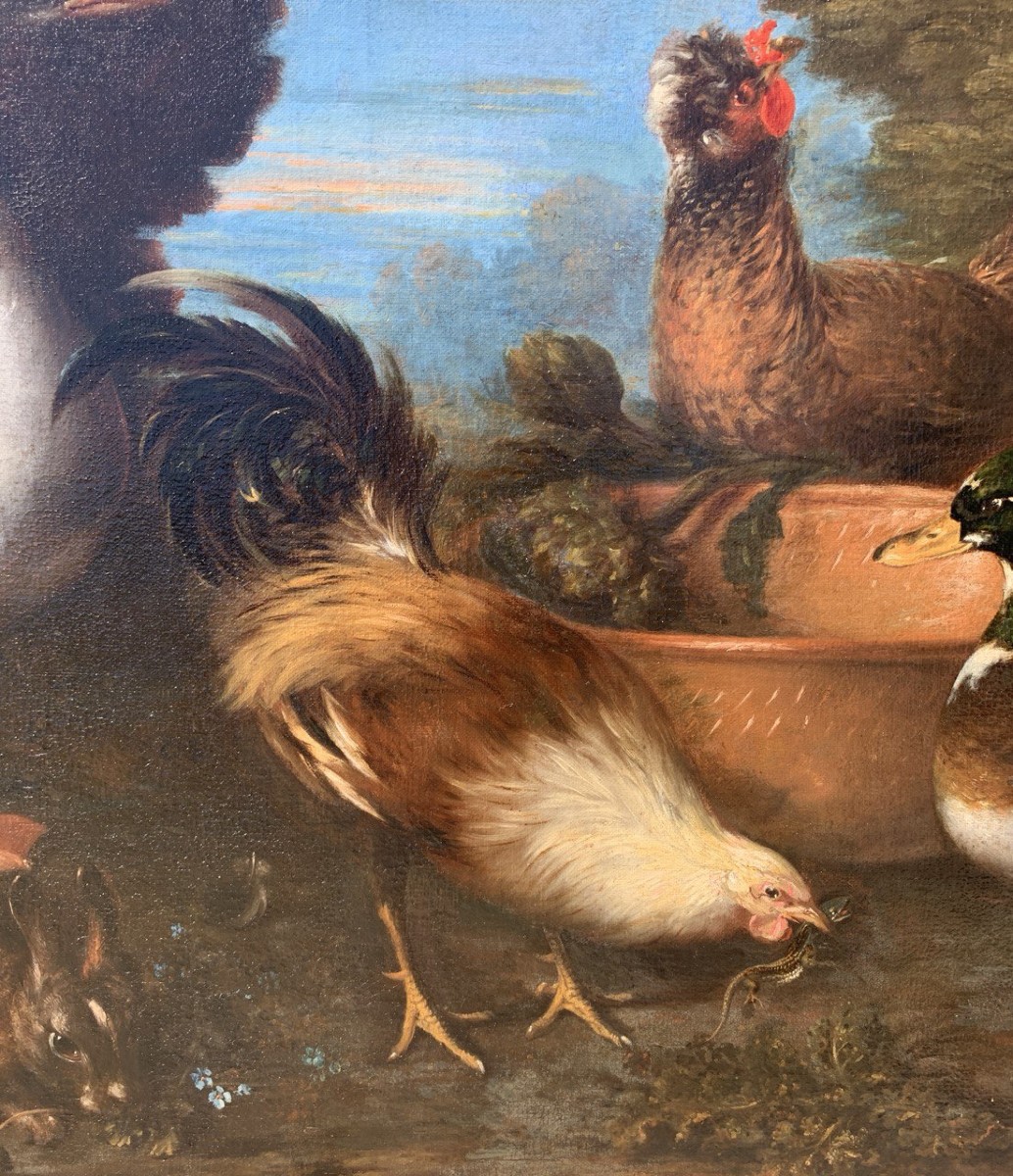 Flemish Master (17th Century) - Still Life With Turkey, Ducks, Rooster, And Rabbit.-photo-3