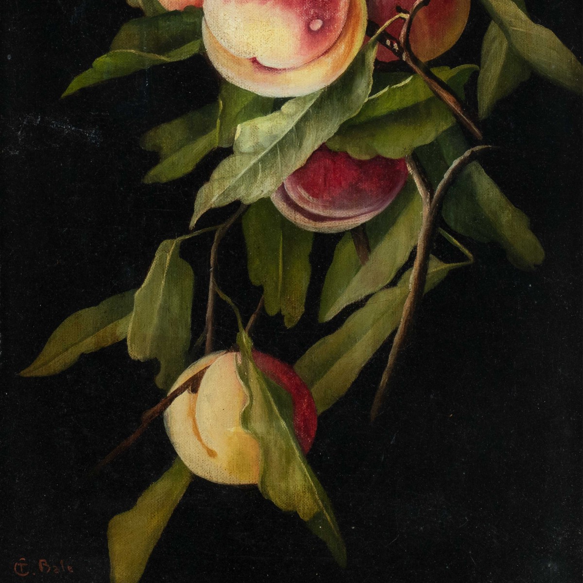 Charles Thomas Bale (british, 1866 - 1895) - Still Life Of Peaches.-photo-2