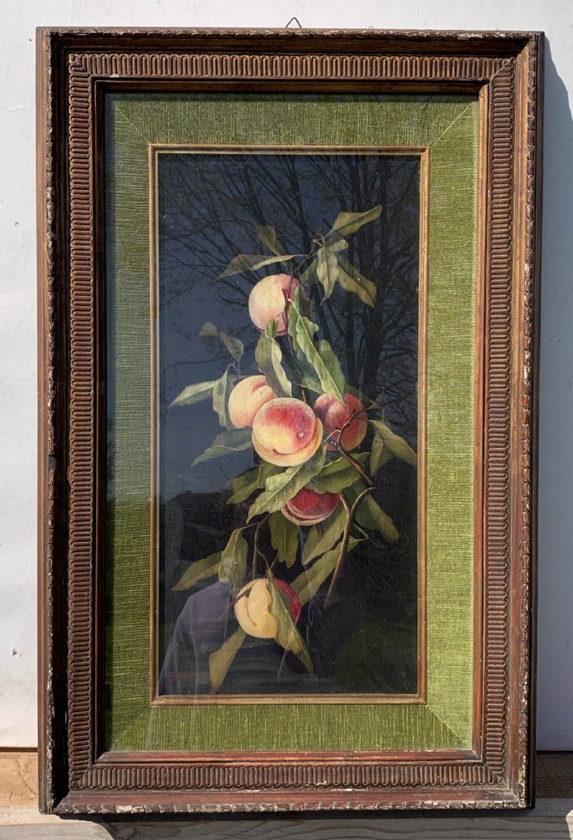 Charles Thomas Bale (british, 1866 - 1895) - Still Life Of Peaches.-photo-4