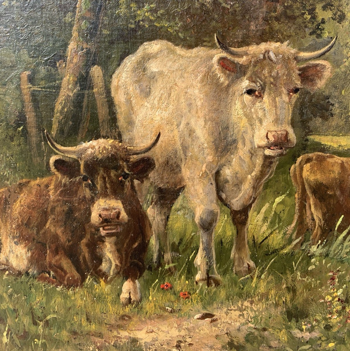 European Painter (late 19th Century) - Grazing Cows.-photo-1