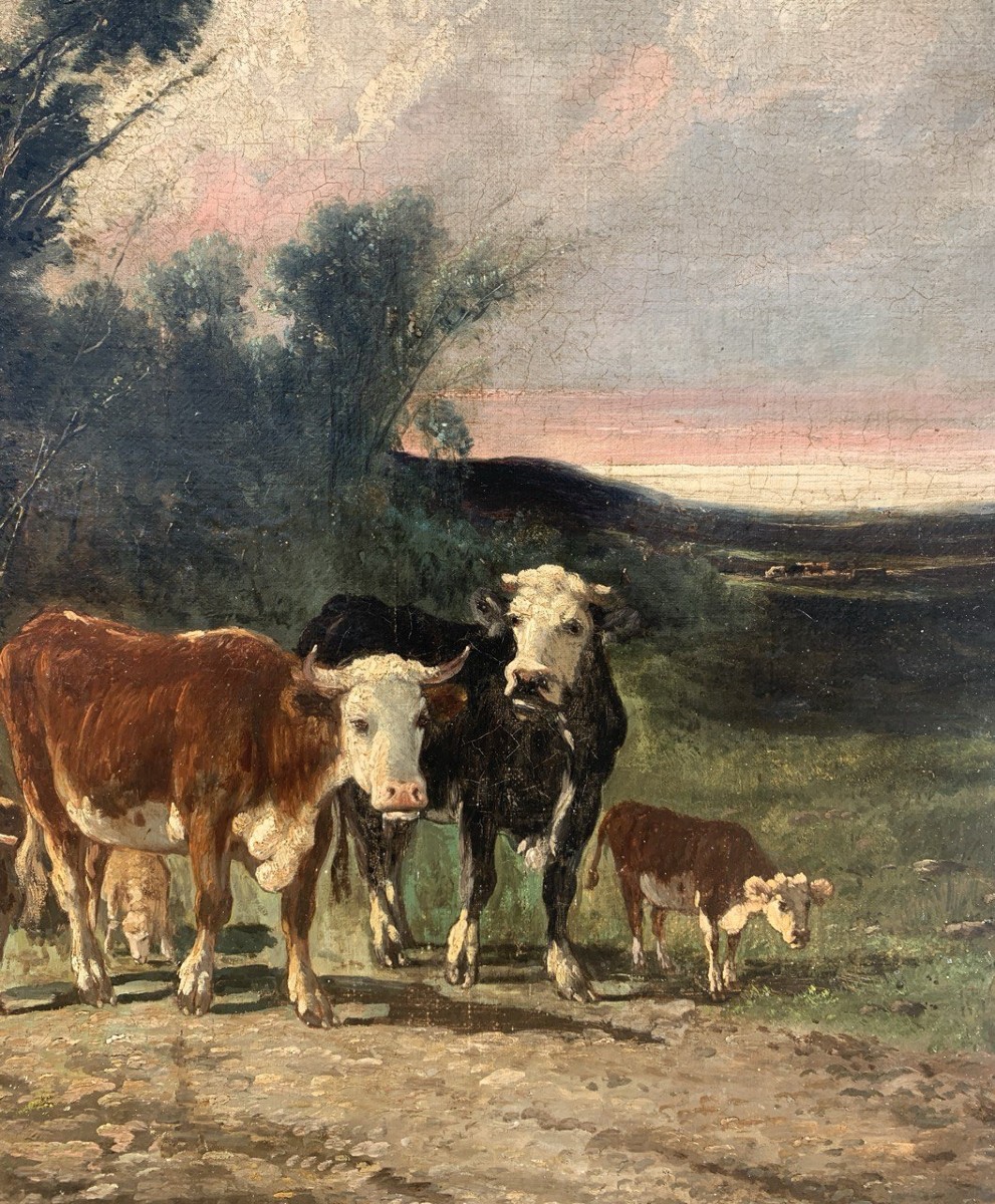 European Painter (late 19th Century) - Landscape With Cows And A Flock Of Sheep.-photo-1