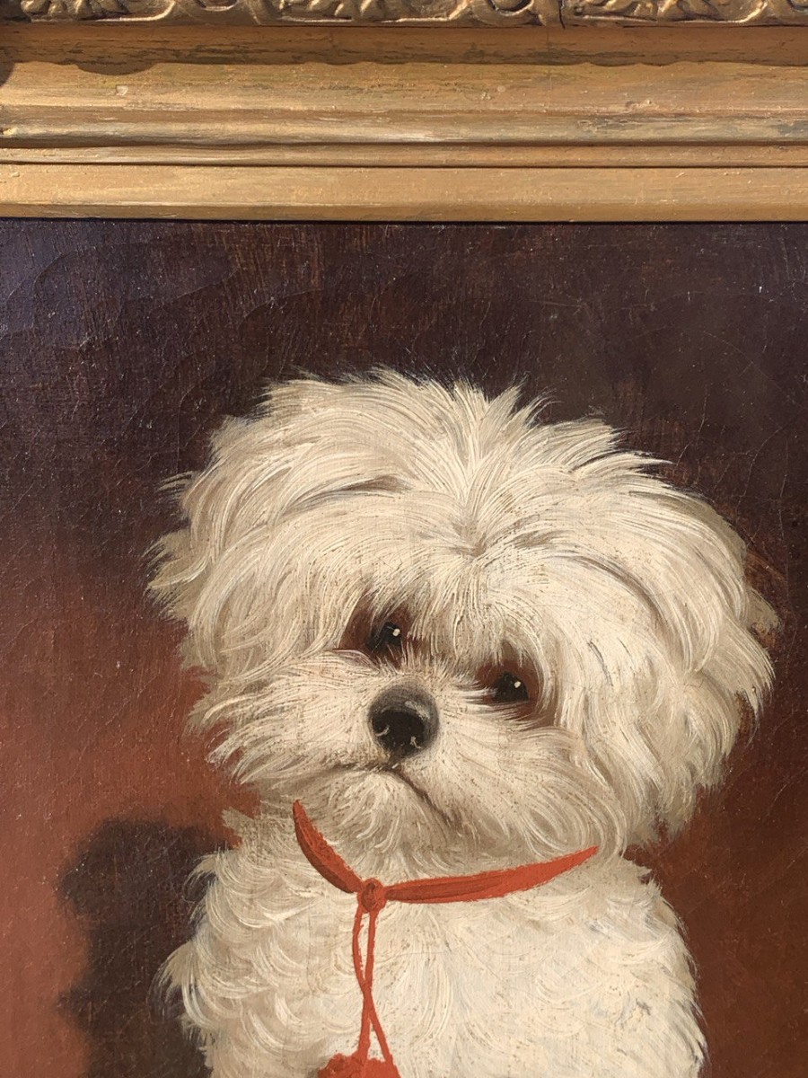 Italian Painter (19th Century) - Portrait Of A Maltese Dog.-photo-1