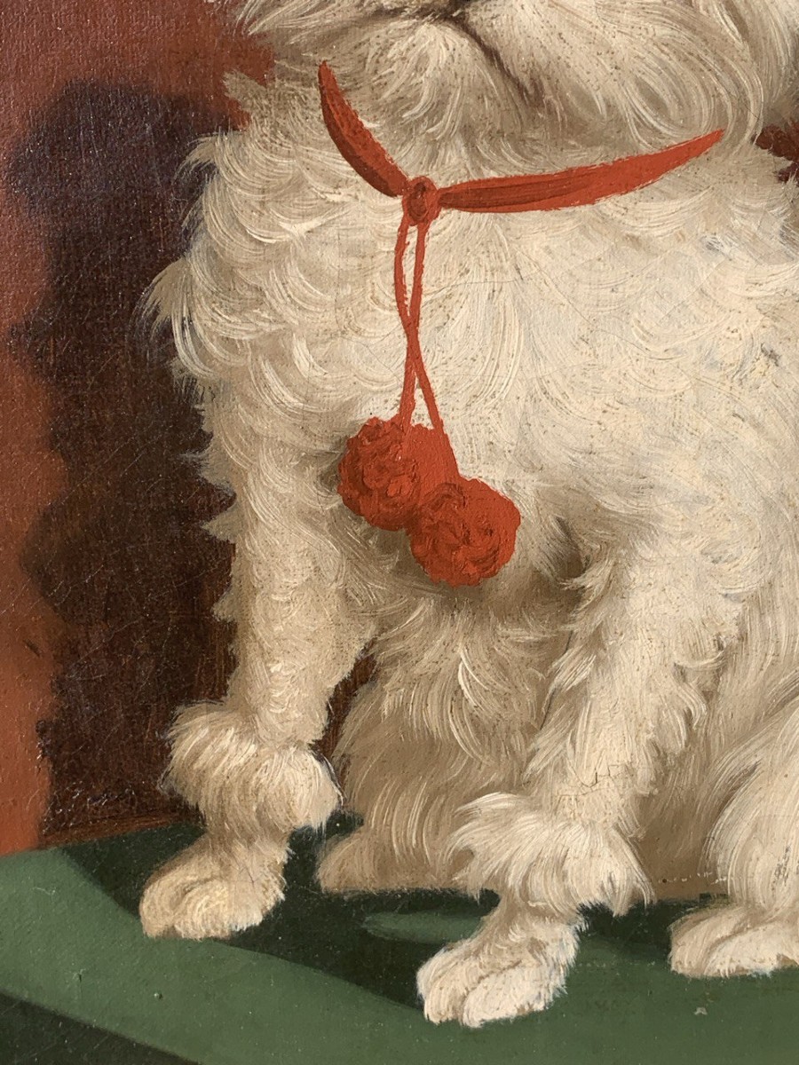 Italian Painter (19th Century) - Portrait Of A Maltese Dog.-photo-2
