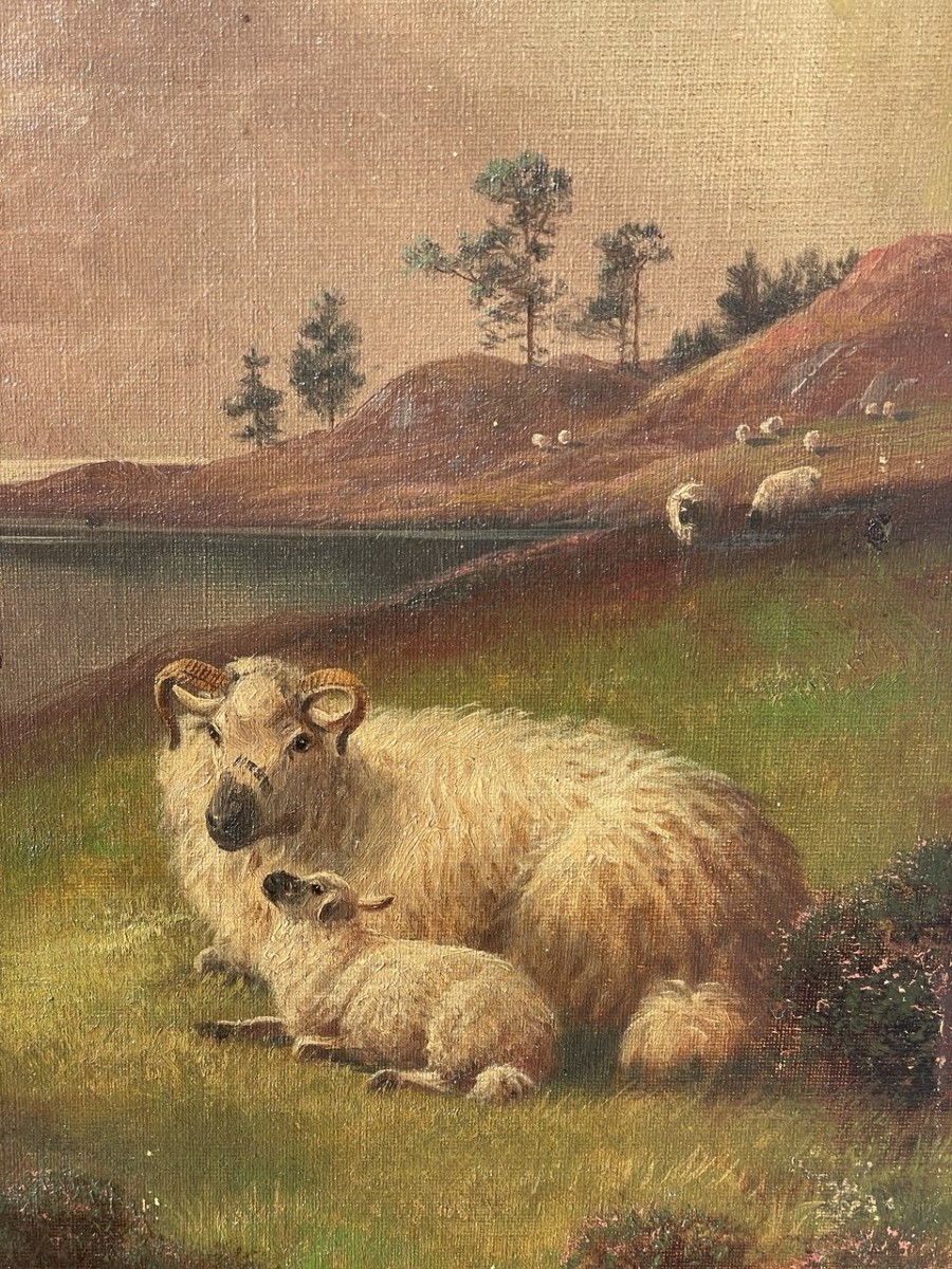 Henry Robinson Hall (york 1859 - Barrow-in-furness 1927) - Sheep Family In The Highlands.-photo-1