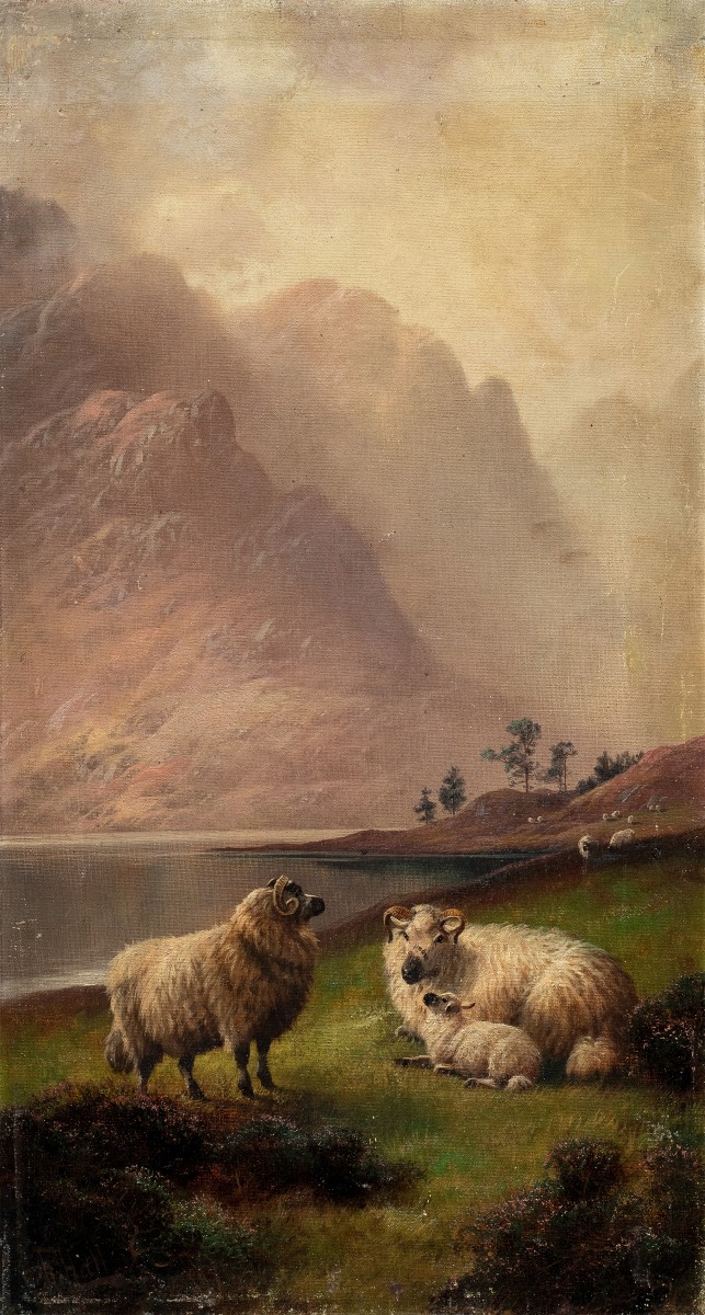 Henry Robinson Hall (york 1859 - Barrow-in-furness 1927) - Sheep Family In The Highlands.