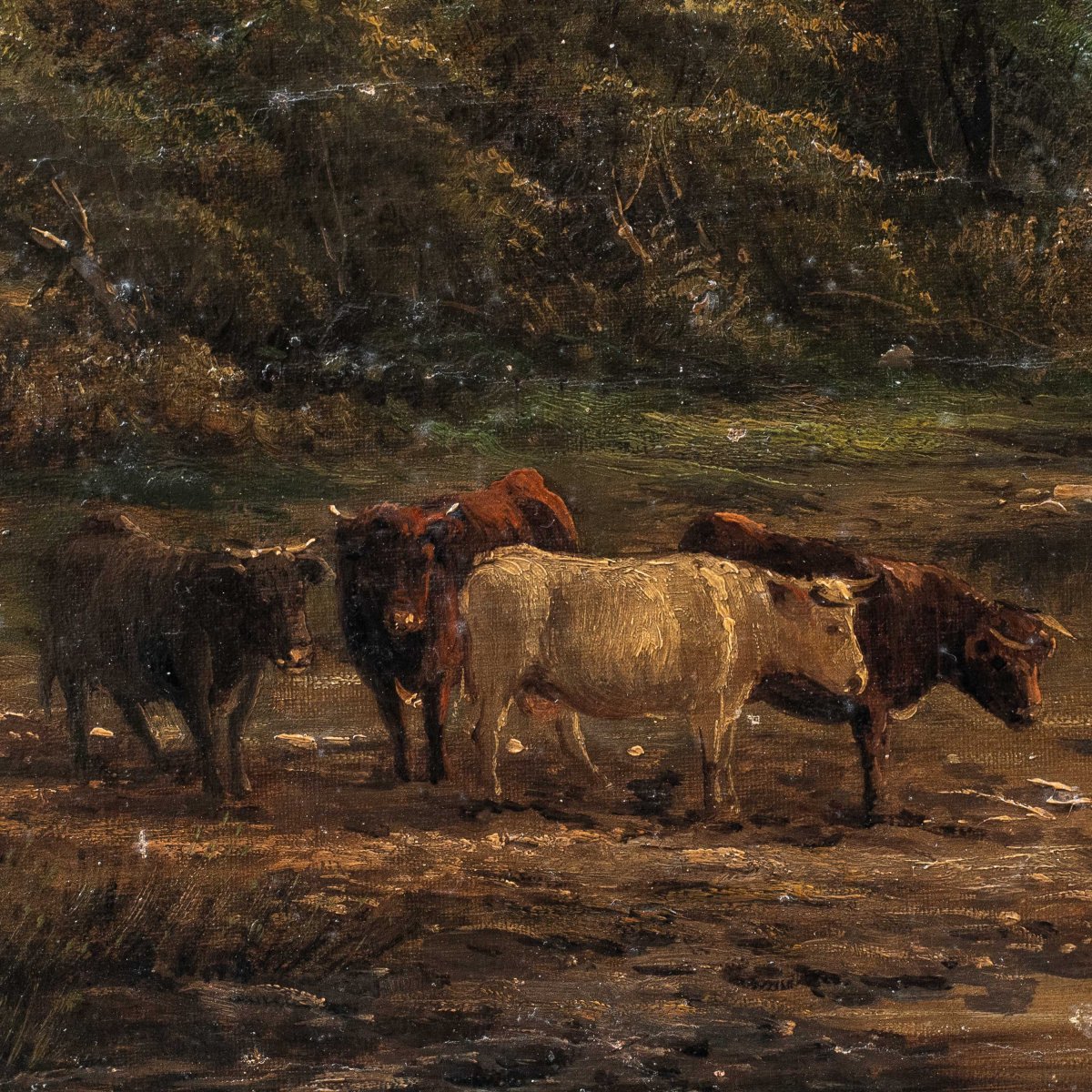 Peintre européen (XIXe siècle) - Taureaux au gué.-photo-2