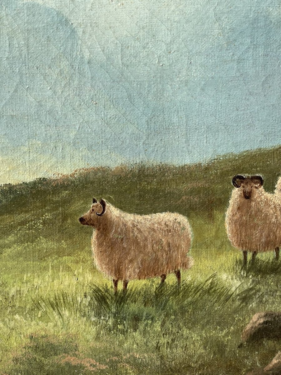 F. W. Kirtley (british, 19th Century) - Mountain Landscape With Sheep.-photo-1