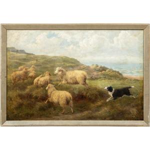 Charles H. Branscombe (british, 1858 - 1924) - Grazing Sheep And Border Collie Dog.