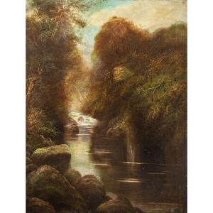 W. Miller (british, Late 19th Century) - Woodland Landscape With Stream.