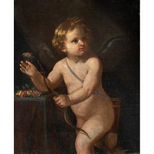 Circle Of Guido Reni (bologna 1575 - Bologna 1642) - Cupid.