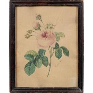 Créateur européen (daté de 1828) - La Rose.