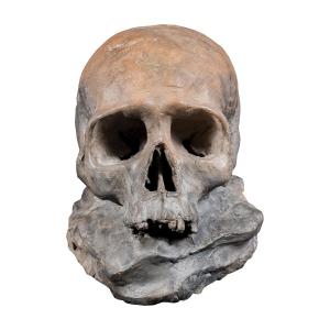 Terracotta Sculpture - Memento Mori. Italy, 18th-19th Century.
