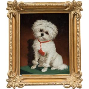 Italian Painter (19th Century) - Portrait Of A Maltese Dog.