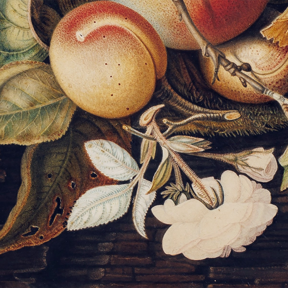 Austrian School, Circa 1890, Still Life With Fruit And Flowers-photo-3