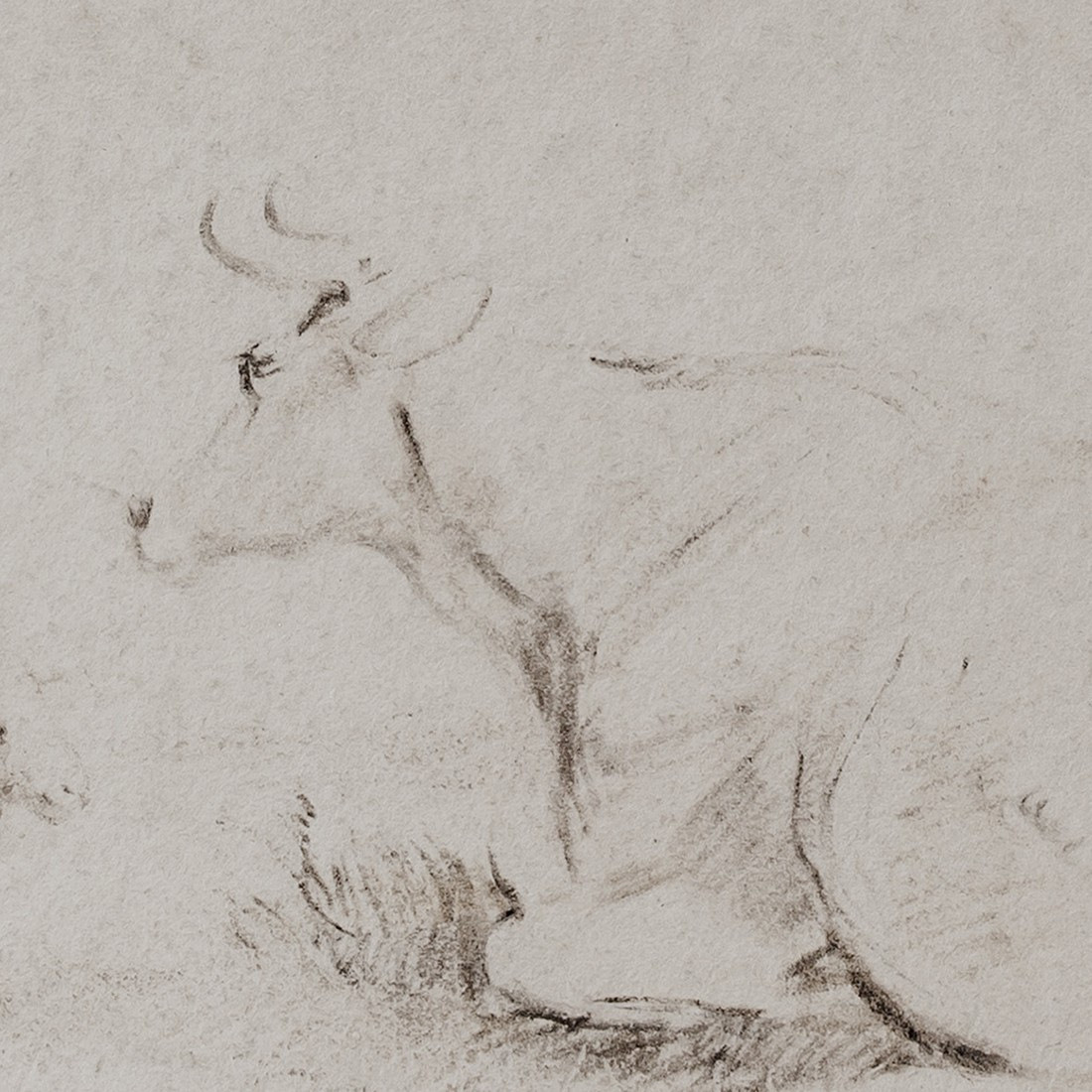 Dutch School Circa 1825, Pastoral Scene (ox And Sheep)-photo-3