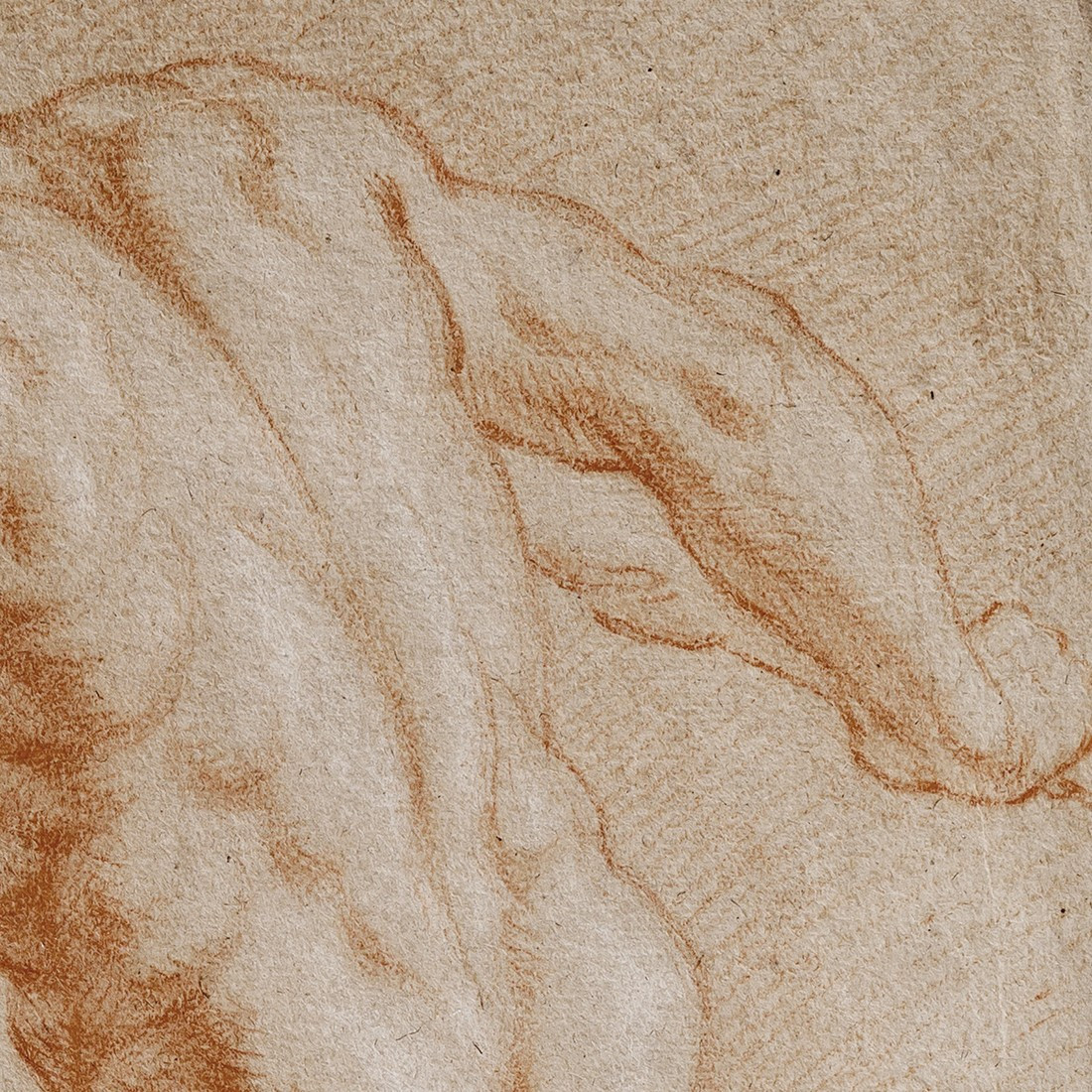 Dietrich attribué – Étude d’Hercule à la massue, nu masculin à la sanguine-photo-4