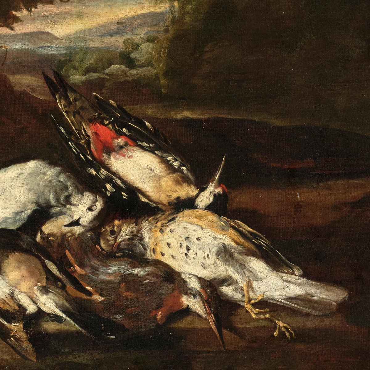Nature morte au cochon d’Inde et trophées de chasse, Castelli attribué, XVIIe siècle-photo-4