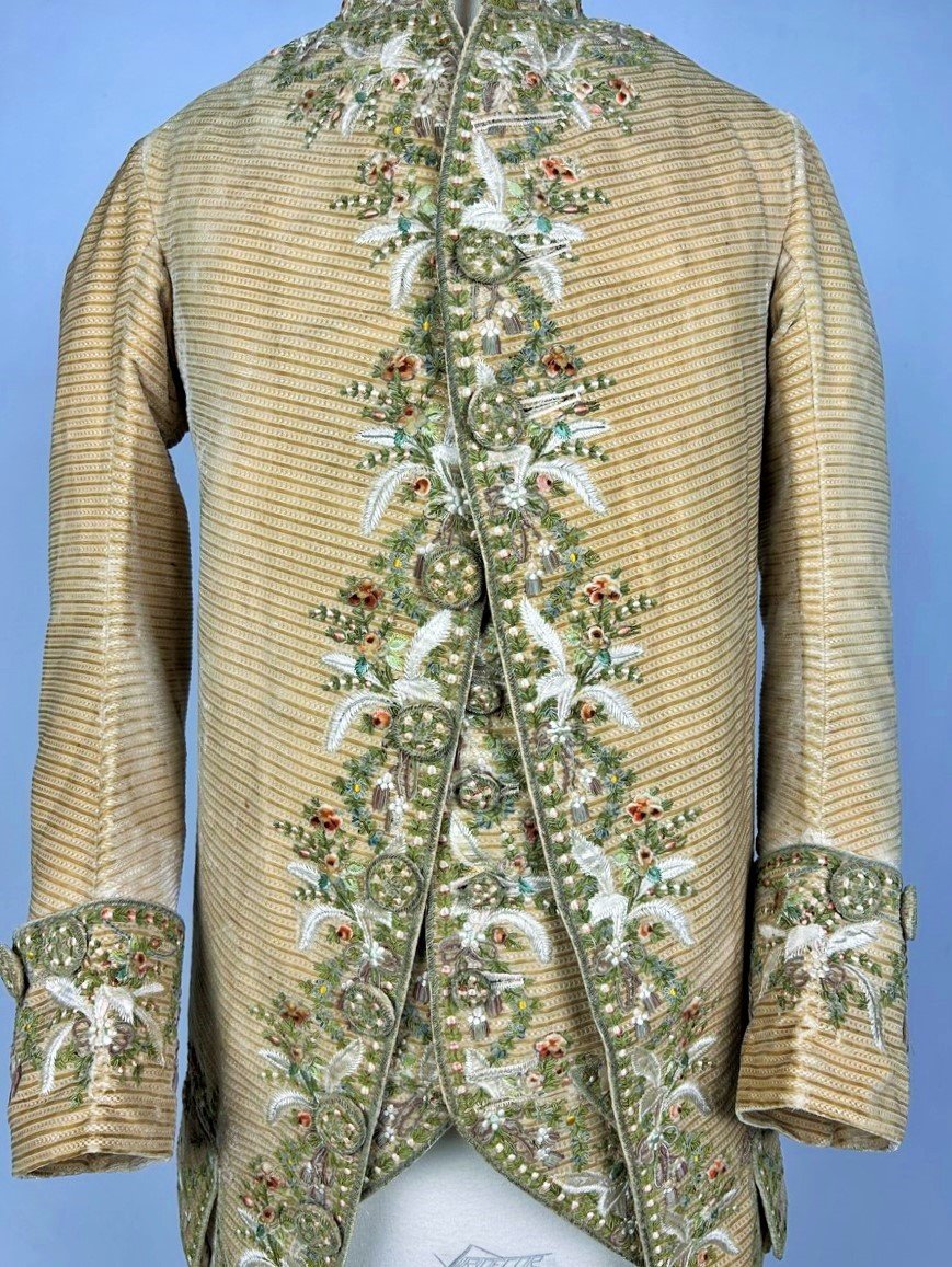 Court Suit And Waistcoat In Embroidered Miniature Velvet And Painted Cannetilles - Europe Circa 1780-photo-3