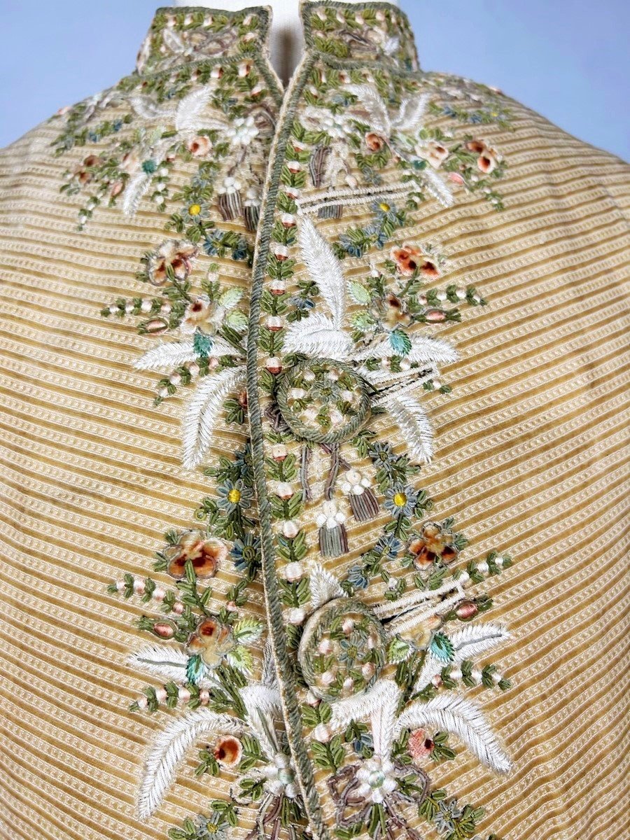 Court Suit And Waistcoat In Embroidered Miniature Velvet And Painted Cannetilles - Europe Circa 1780-photo-2