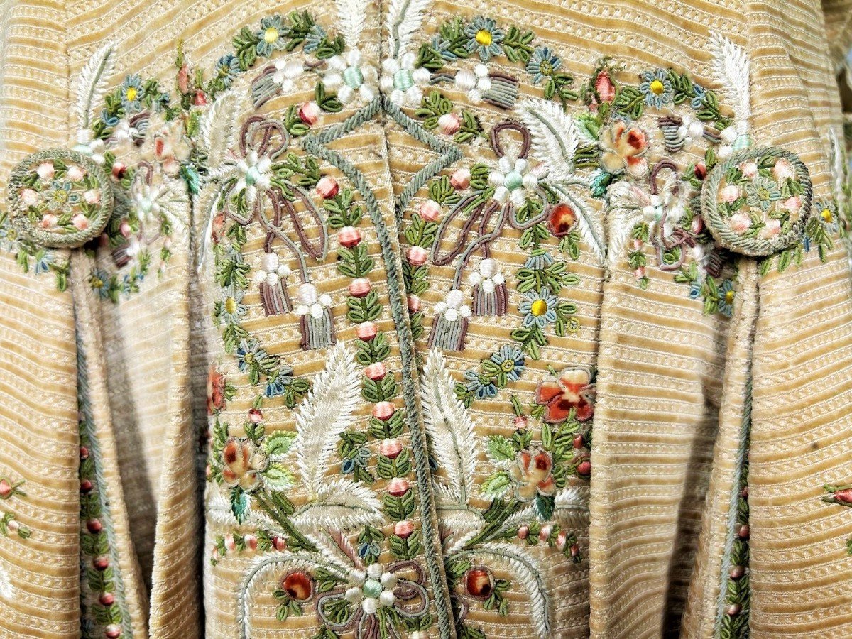 Court Suit And Waistcoat In Embroidered Miniature Velvet And Painted Cannetilles - Europe Circa 1780-photo-7