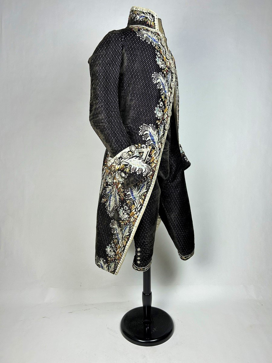 Court Coat And Breeches Of The Marquis d'Aligre – First Empire Or Restoration Period, Circa 1810-photo-4