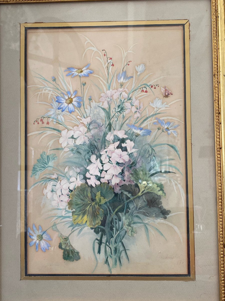 Lot De 4 aquarelles Botaniques Par Eugénie Grisard Du Saulge
