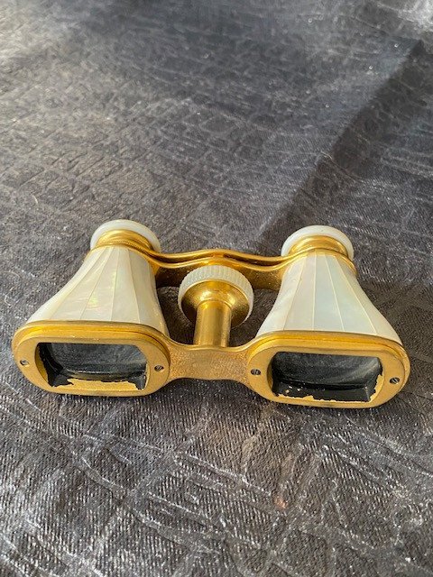 Pair Of Binoculars In Brass And Mother Of Pearl With Oblong Rectangular Optics