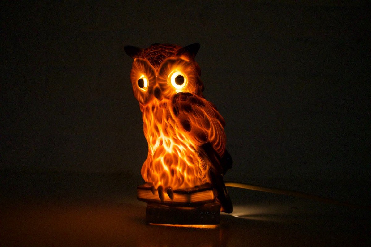 Lampes à parfum Hiboux en porcelaine Goebel Germany -photo-4