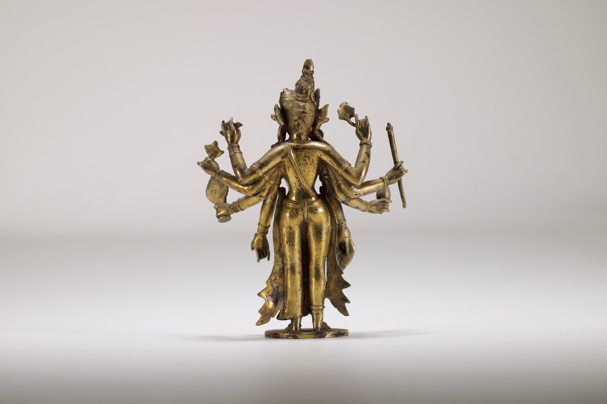 Vishnu Lakshmi-narayana.-photo-3