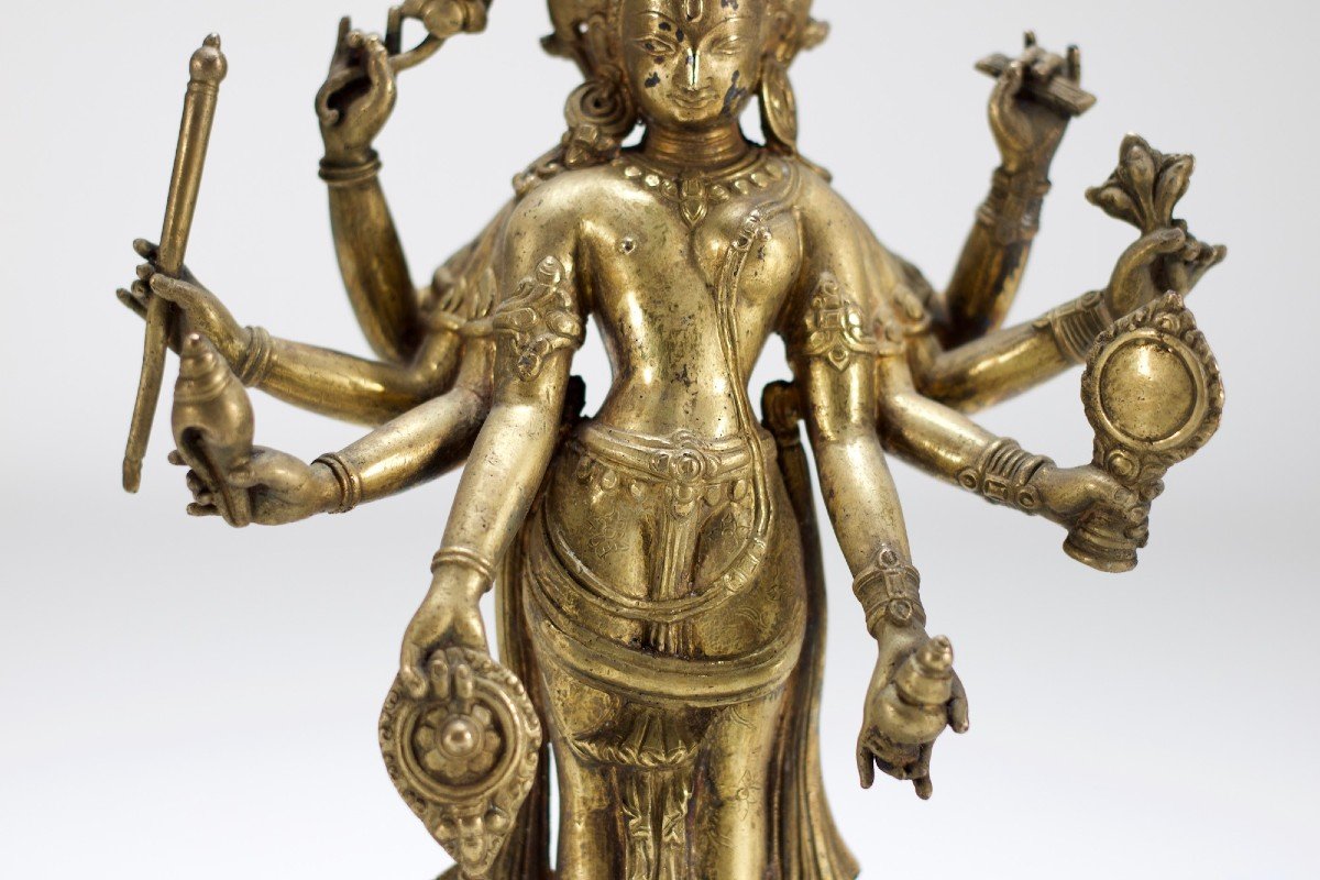 Vishnu Lakshmi-narayana.-photo-2